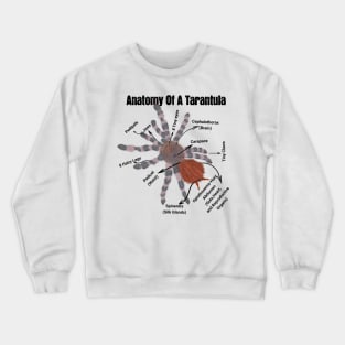 Anatomy of a Tarantula Crewneck Sweatshirt